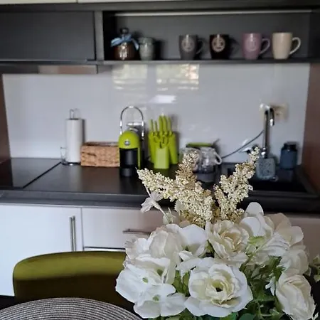 Balkanhill2 S37 Pekovic شقة *